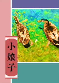 小娘子全集免费